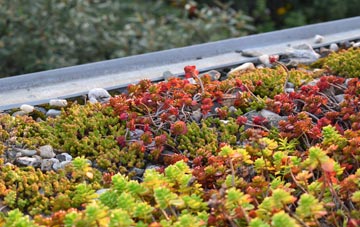 the cost of Shepton Mallet green roof installation