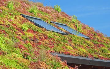 Shepton Mallet living roof systems